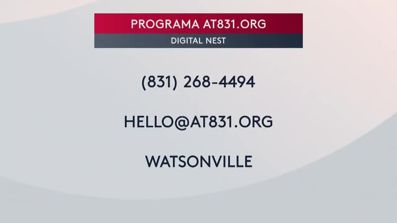pequenos negocios inmigrantes