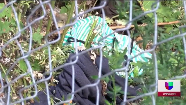 Drogas, sexo e inseguridad arropan a una comunidad en Boston