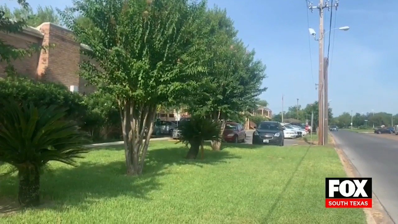 mcallen raid