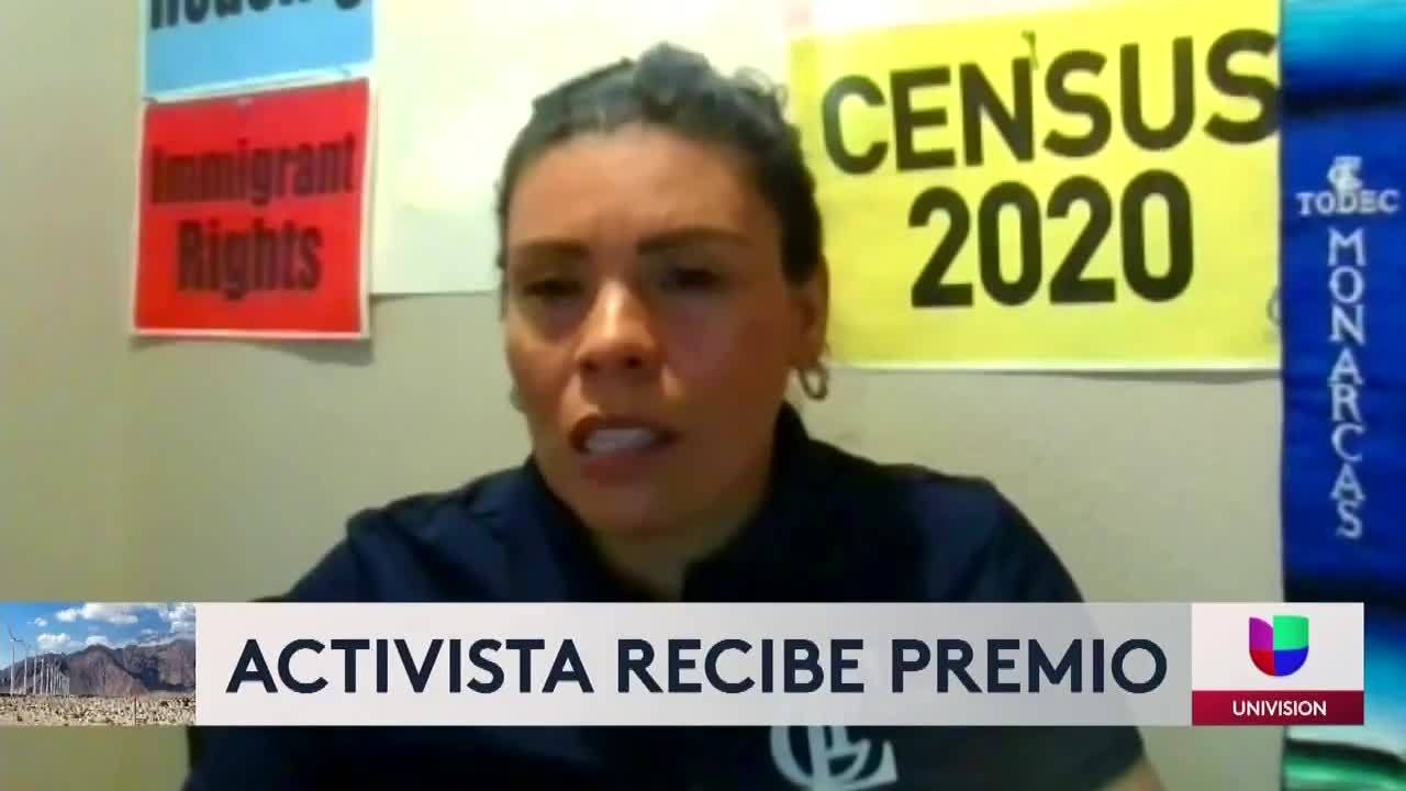 luz gallegos premio
