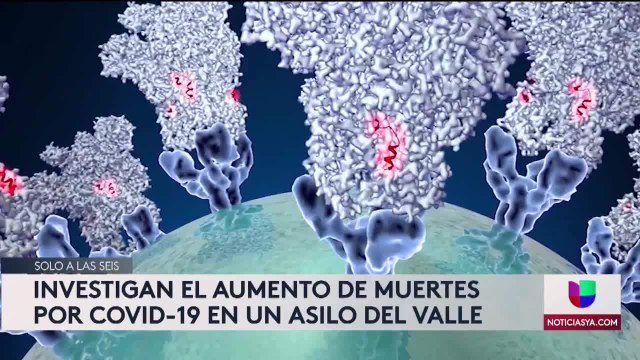 Fernando Renteria - Residencias - Noticias Nevada 6pm 052120 - Clip