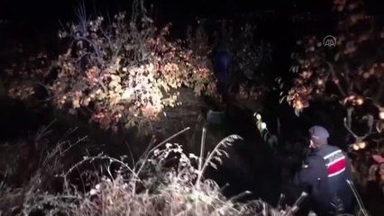 Cennet elması çalan 3 kişi gözaltına alındı