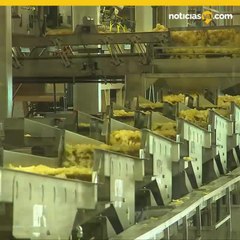 ¿Por qué no puedes comerte solo una galleta o una papa frita?