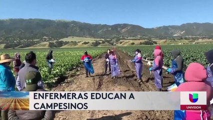 Contagios trabajadores agrícolas