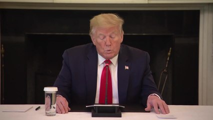 BHDN_PO-83WE_COVID_ TRUMP ROUND TABLE INDUSTRY EXECS WALK UP _CNNA-ST1-1000000005c3cfc0_174_0.mp4
