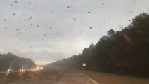 Debris flies across road amid tornado in Long Island