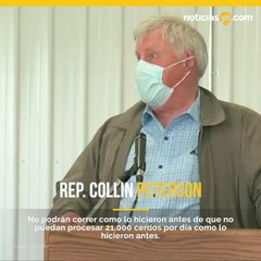 En 3 semanas no habrA carne de cerdo en los supermercados