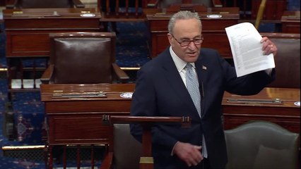 BHDN_RQ-522WE_SCHUMER_ GOP POLICING REFORM BILL IS A _FIG LEAF__CNNA-ST1-1000000005d99b35_174_0.mp4