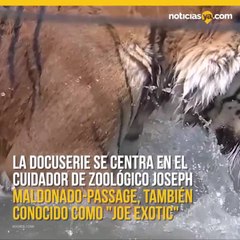 ‘Tiger King’, el adictivo documental de Netflix del que todos hablan