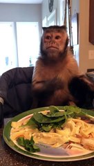 Spinach makes you schrong too!