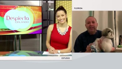 Despierta Orlando 042420 - logan