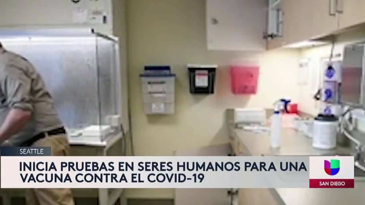 Coronavirus cura