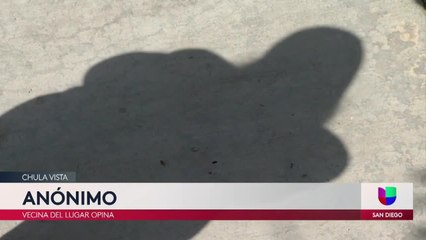 Un hombre es arrestado tras acuchillar y golpear fatalmente a su madre en Chula Vista
