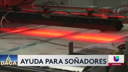 Ayuda a beneficiarios de DACA