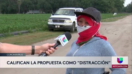 Si vives en el Condado Hillsborough, tienes que cumplir toque de queda