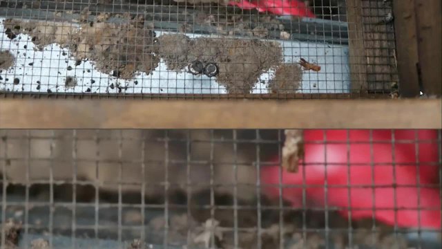 0213 AVANCE INFORMATIVO.mp4