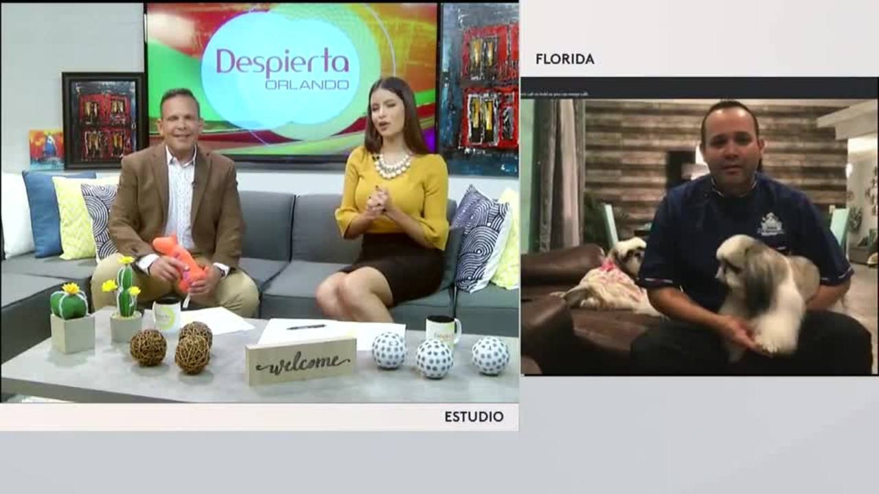 Despierta Orlando 032720 - 4