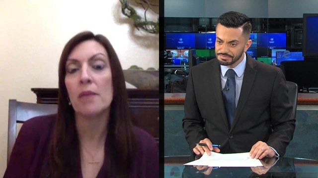 VICEGOBERNADORA 0403