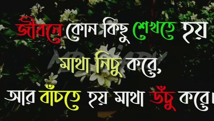 #বাস্তবতা#খারাপ#অবহেলা  আমার কষ্টটা তুমি যদি বুঝতে তাহলে এভাবে আমাকে কষ্ট দিতে না।