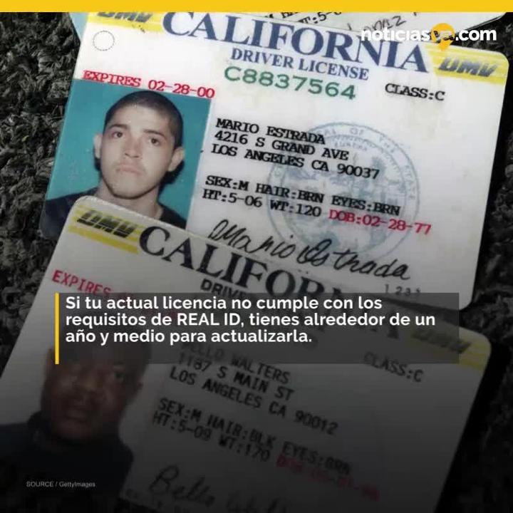 Licencias REAL ID