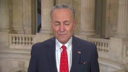 BHDN_PO-36WE_COVID-SCHUMER EXPLAINS WHAT_S IN AID BILL_CNNA-ST1-1000000005b64fda_174_0.mp4