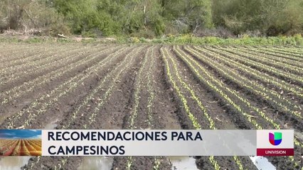 Campesinos protecciones Costa Central