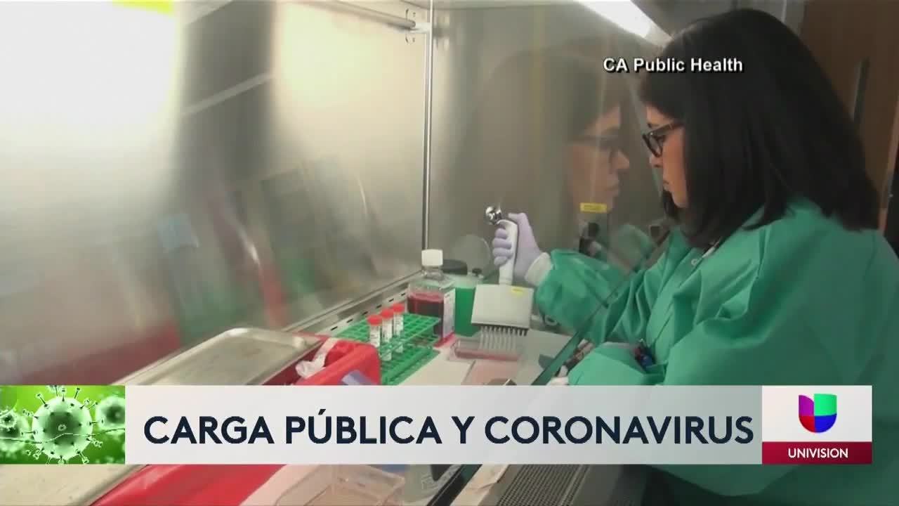 carga publica y virus