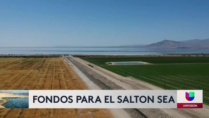 salton sea