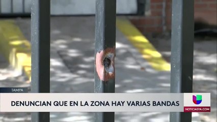 Balacera nocturna deja a una menor herida en Tampa