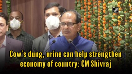 Cow dung, urine can strengthen Indian economy: MP CM Chouhan