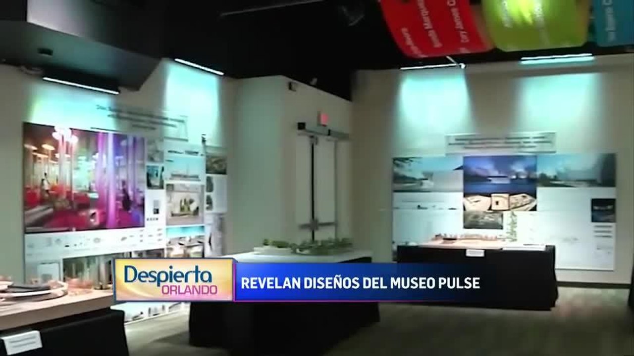 Despierta 1004-1