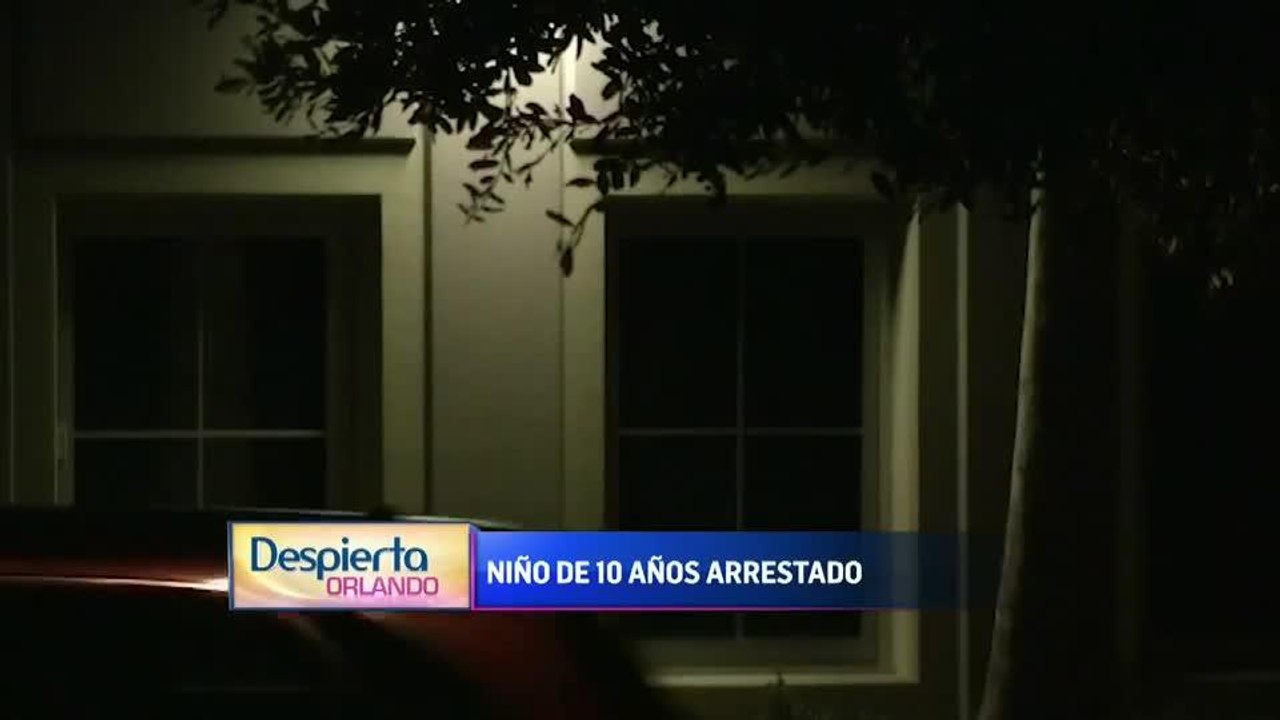 Despierta B2
