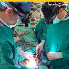 Por primera vez en EE.UU. reviven un corazon muerto para trasplante