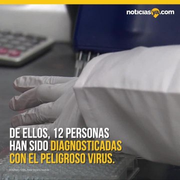 Reportan mas de 600 muertes y mas de 31,000 casos de coronavirus
