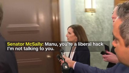 BHDN_PO-64TH_SEN MCSALLY REACTS TO CNN REPORTER QUESTION_CNNA-ST1-100000000596a1a5_174_0.mp4