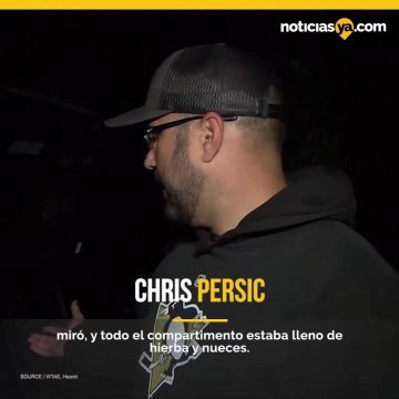 Ardilla guarda cientos de nueces dentro de auto