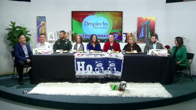 Despierta Orlando - 1