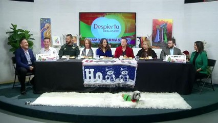 Despierta Orlando - 1