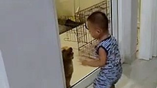 dog and baby dancing together