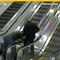 Mujer cae en escaleras de aeropuerto