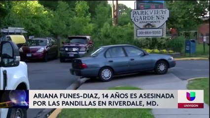 TRES PANDILLEROS CAPTURADOS EN PG