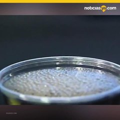 Médicos exigen subir impuestos en bebidas azucaradas para niños