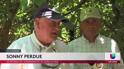 Cada vez faltan más trabajadores agrícolas en Estados Unidos