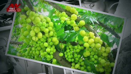 Diabetes के दौरान हो रही हैं ये गलतियां, तो खाएं ये फूड्स |Mistakes during Diabetes