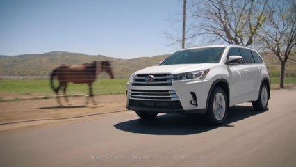 Univision National News 6:30pm 070319