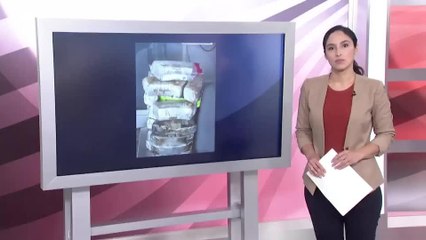 Federal Agents Thwart Smuggling Attempts