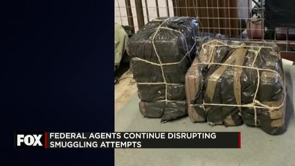 Border Patrol Dismantle Smuggling Attempts