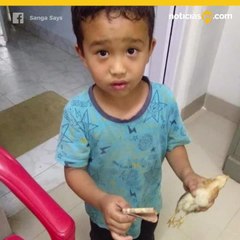 Nio mat a un pollo y sac sus ahorros para llevarlo al hospital