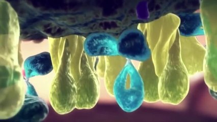 Estos son los estados con más casos reportados de influenza