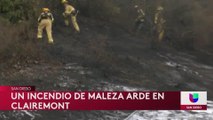 Bomberos sofocan incendio de maleza en Clairemont Mesa